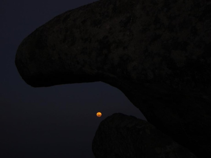 Lua nascendo em 30 de junho de 2007. Foto por Alexandre Amorim. Local: PE12.